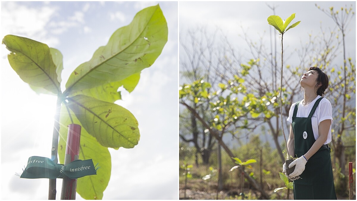 innisfree 2018綠色森林運動開跑，目標10年10萬棵樹！跟著魏如昀在台東種下一棵樹(加映隨身環保小物大公開)