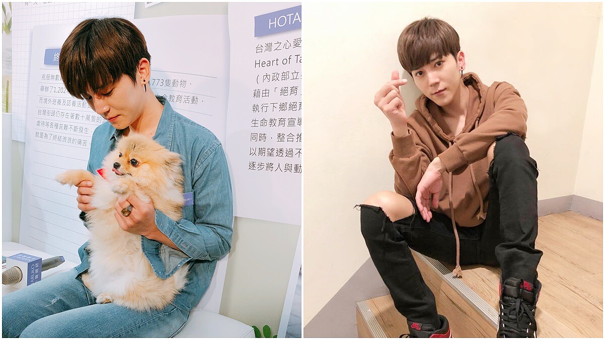 被發現是「女兒控」！畢書盡帶愛犬大方放閃坦承：最抵擋不了愛撒嬌的女生