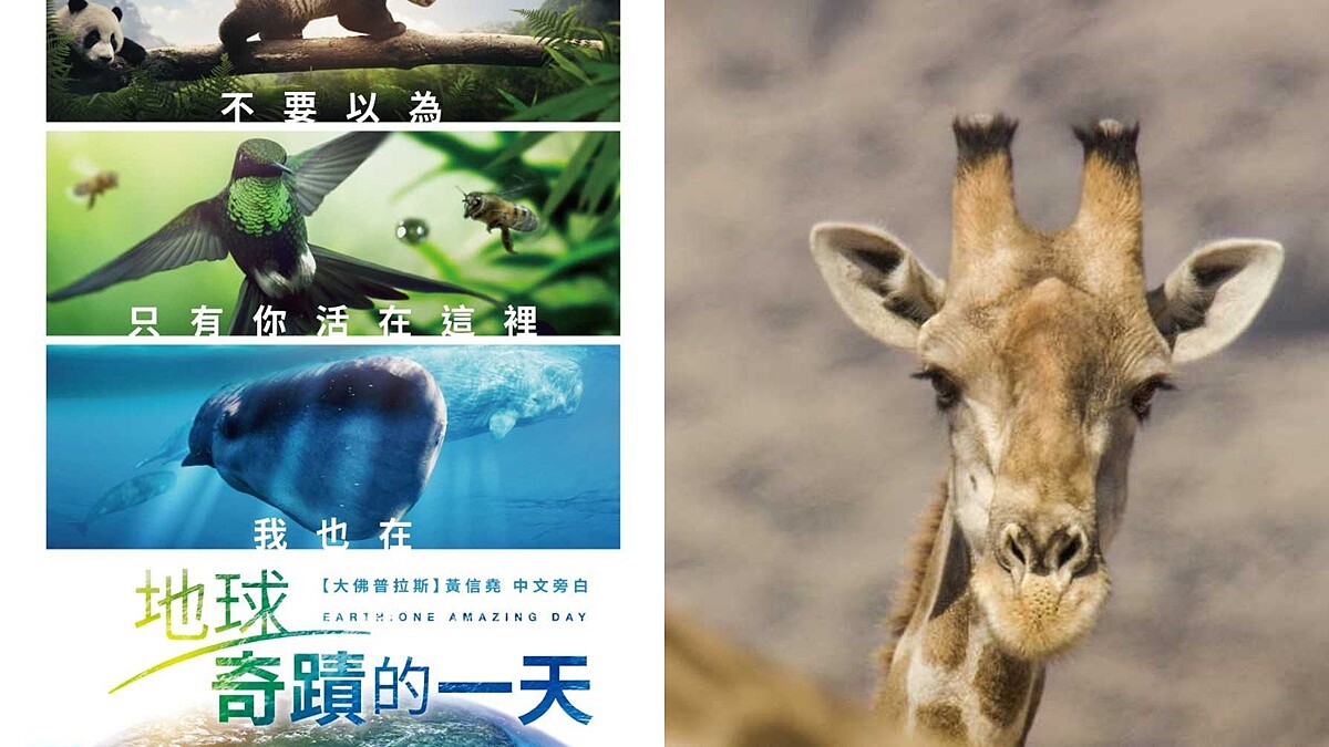 「不要以為只有你活在這裡，我也在！」走遍22個國家、38種珍禽異，BBC全新紀錄片《地球：奇蹟的一天》