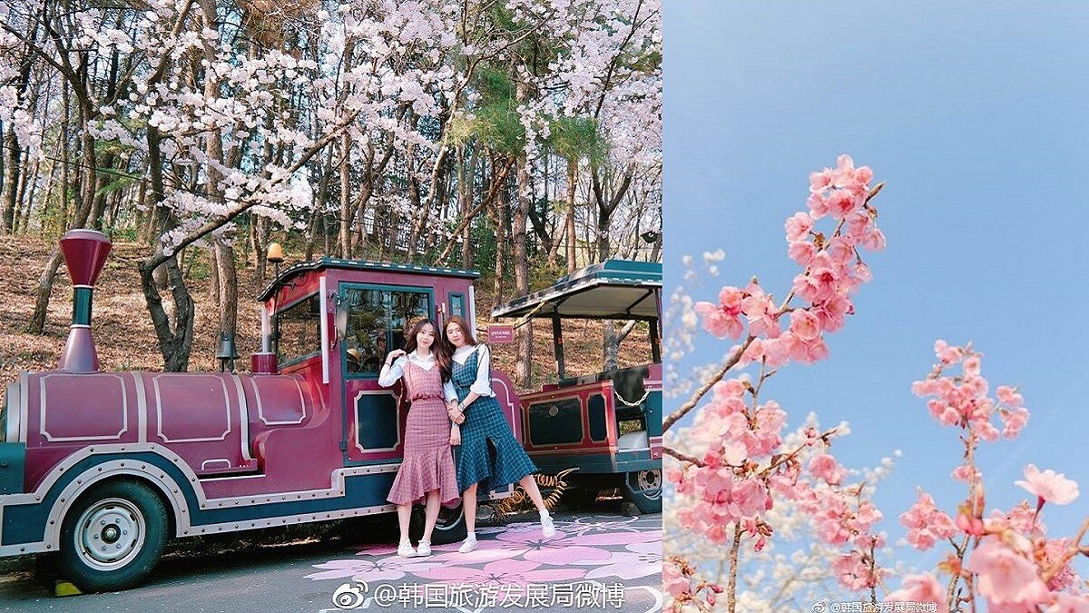 春夏改到韓國賞花吧！帶著花般美顏一起GO ♥ 想擁有不輸韓妞們無瑕美肌的底妝秘密，就跟著這麼做吧！