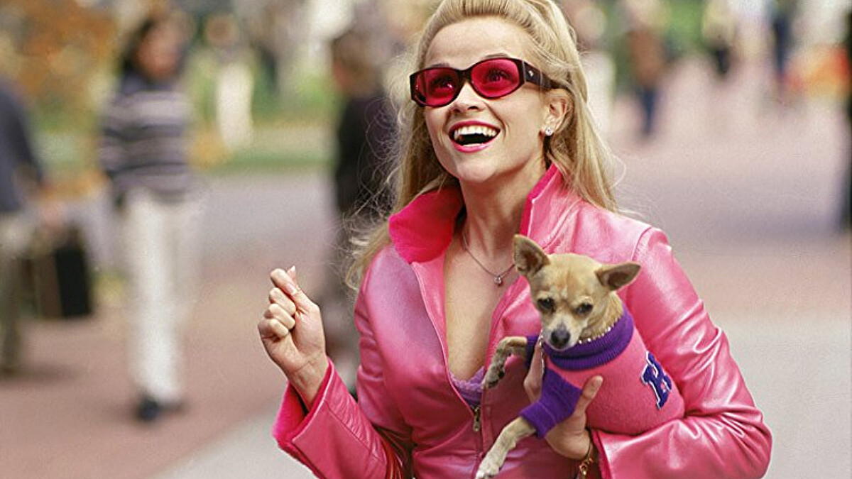 抱著吉娃娃的粉紅嬌嬌女要回來了？瑞絲薇斯朋主演《金髮尤物3》有望重啟開拍