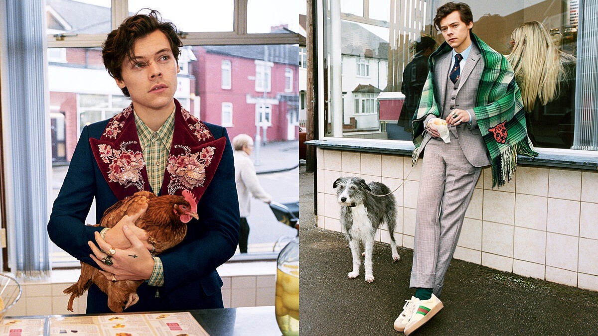 Harry Styles帥翻詮釋Gucci秋冬西服！俏皮與紳士的反轉個性體驗英式愜意生活