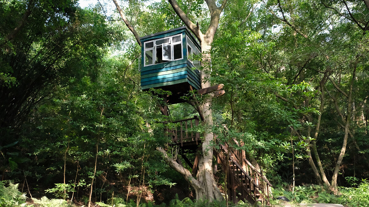 到勤美學來一場森林的小旅行吧！