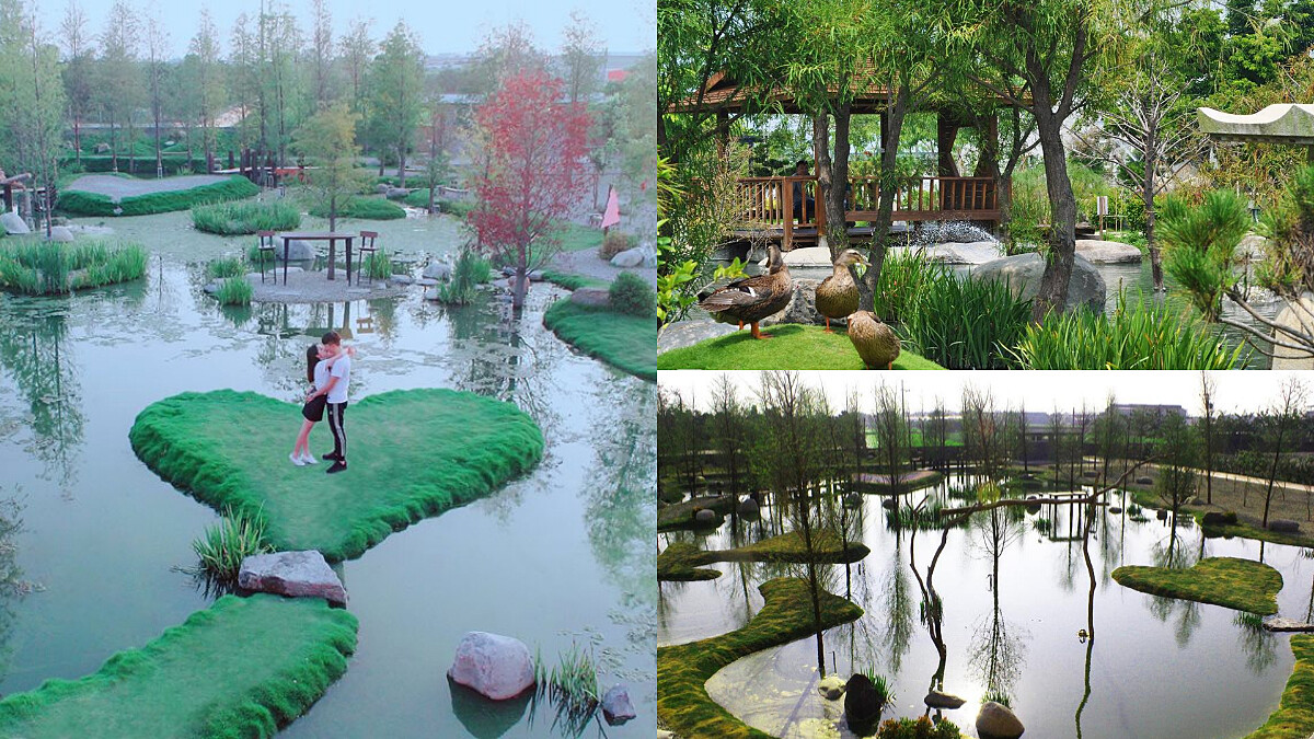 這麼美的景色在雲林！落羽松林、愛心小島超好拍，「澄霖沉香味道森林館」充滿幸福香氣的自然系樂園～