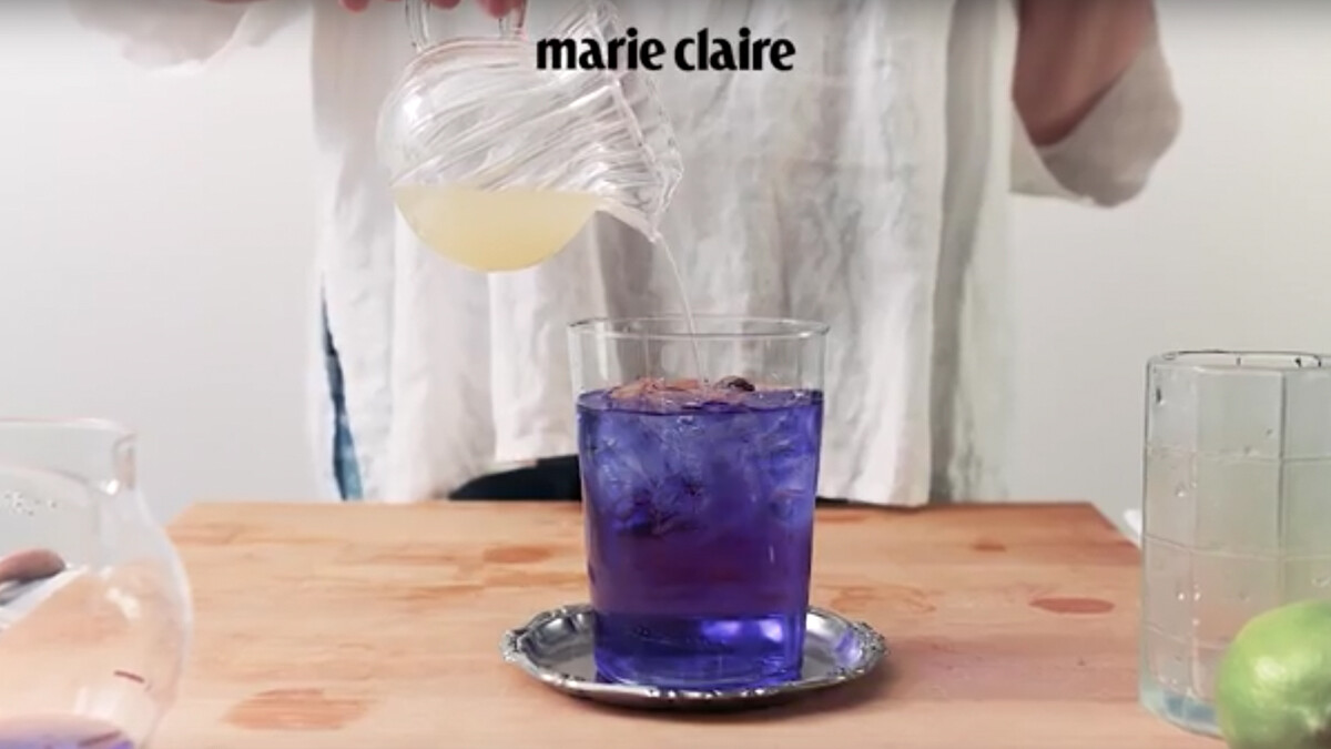 【TGIF】來一杯超夢幻的清涼飲料，蝶豆花茶（Butterfly Pea Tea）