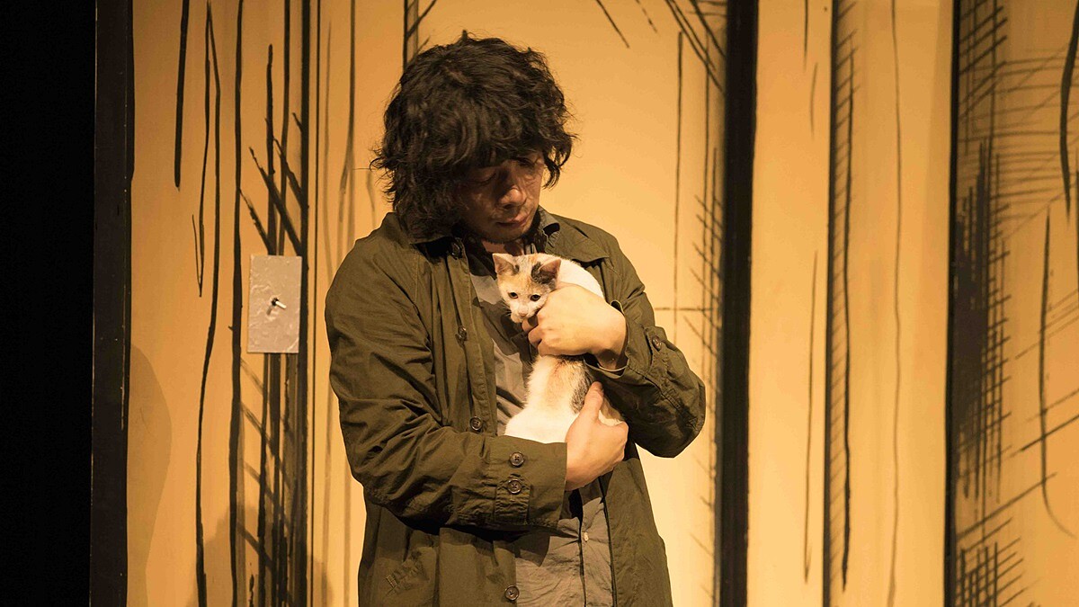 賓士貓、玳帽貓、虎斑貓…是貓奴們不能錯過的本命電影!「陪伴在你身邊的,難道不能是我嗎?」《貓是用來抱的》我的男友怎麼是隻貓