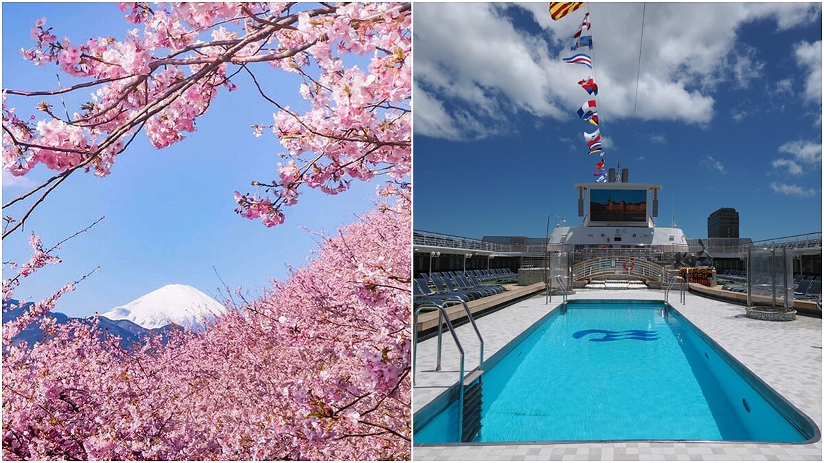 一次收集日、韓經典賞櫻景點！全新翻修「太陽公主號」2019年春季航程來了