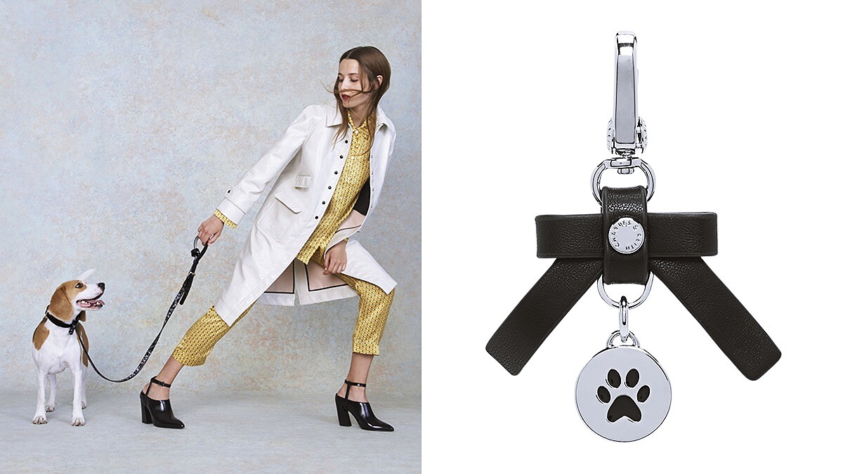 主人也能跟毛小孩一起玩穿搭！CHARLES &amp;amp; KEITH打造寵物系列時髦配件