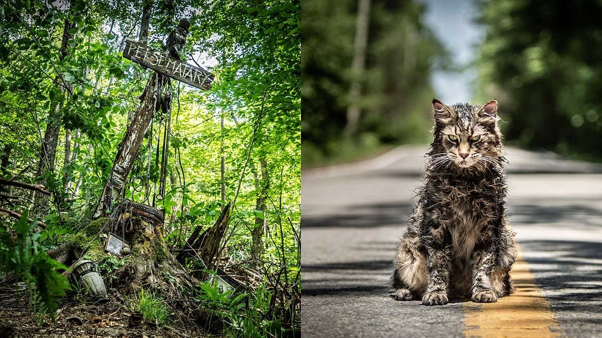 讓死去的毛小孩復活......改編史蒂芬金經典恐怖小說，新版《禁入墳場》驚悚回歸大銀幕