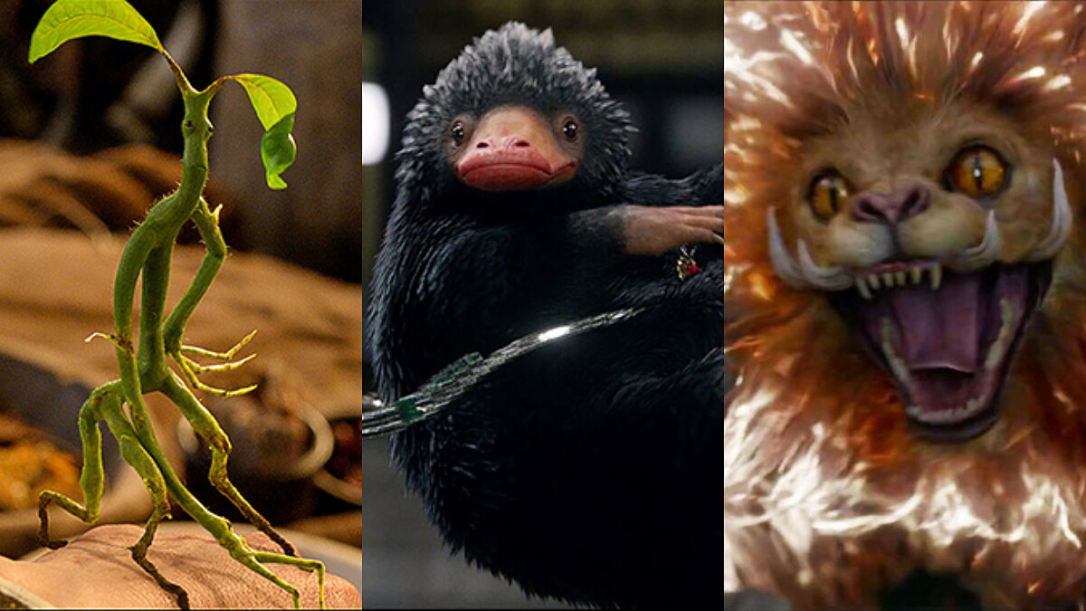 真的好想養一隻！玻璃獸、木精、中國神獸「騶吾」......《怪獸與葛林戴華德的罪行》這些可愛奇獸們你都認識嗎？