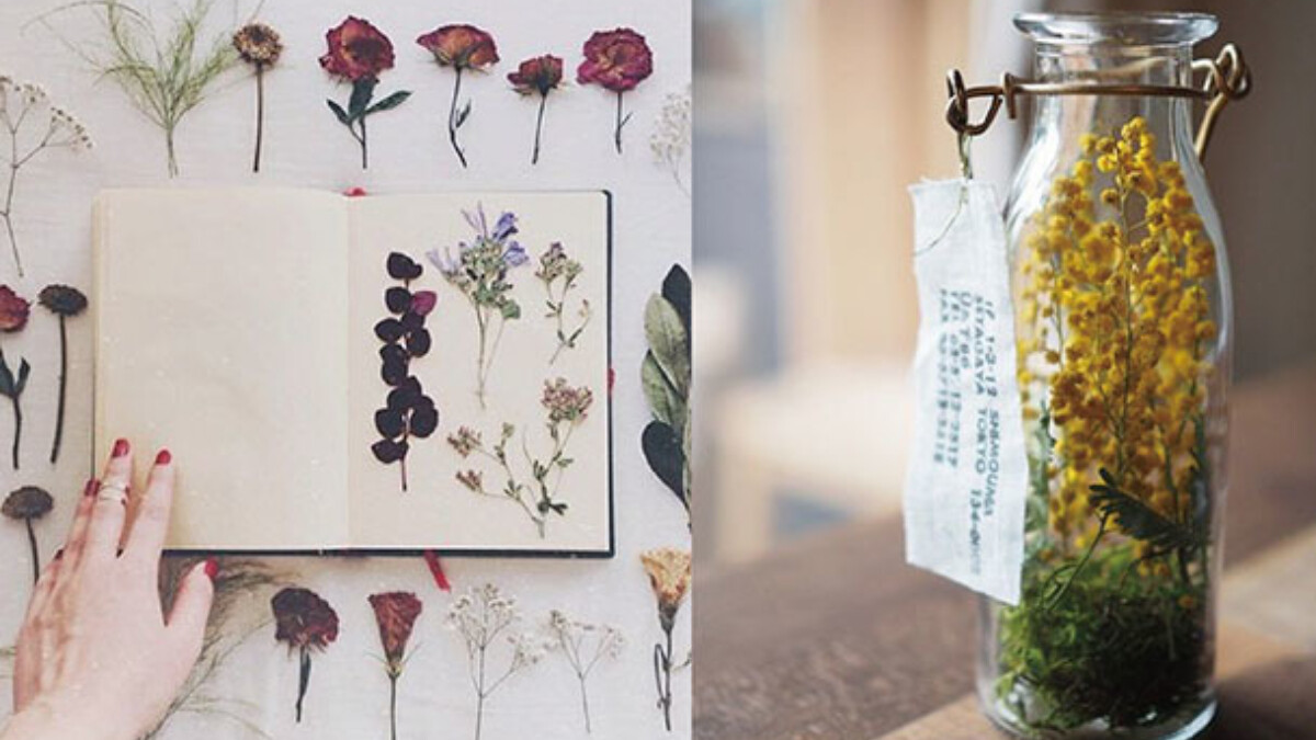 做乾燥花其實就這麼簡單！五種方法居家 DIY 乾燥花，還附上懶人作法！