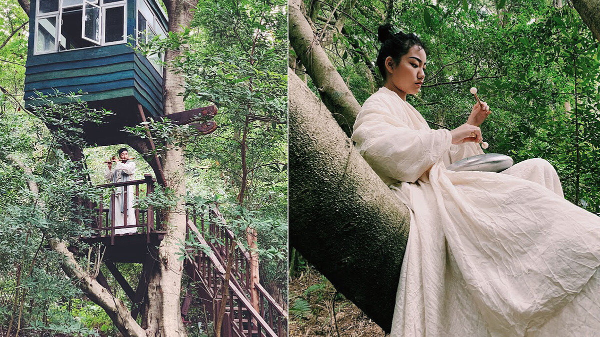 五感療癒體驗！勤美學「森大」結合跨界美學能量，帶你感受「人與森林」的絕美關係