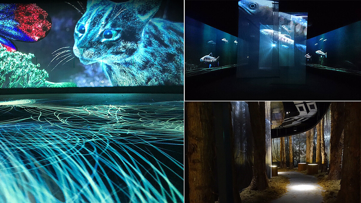 快趁週末衝一波！「台中花博發現館」8大精彩展區，每個角度都美呆！