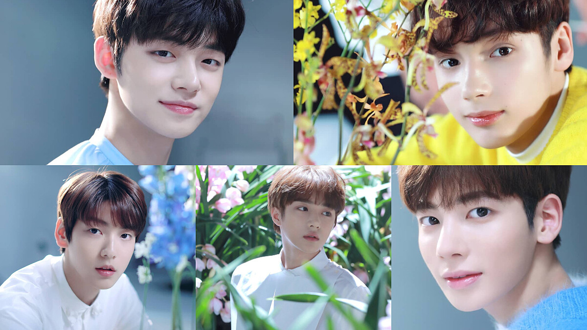 防彈少年團師弟TOMORROW X TOGETHER來了！從單眼皮帥哥到混血忙內，5位男孩都顏值爆表