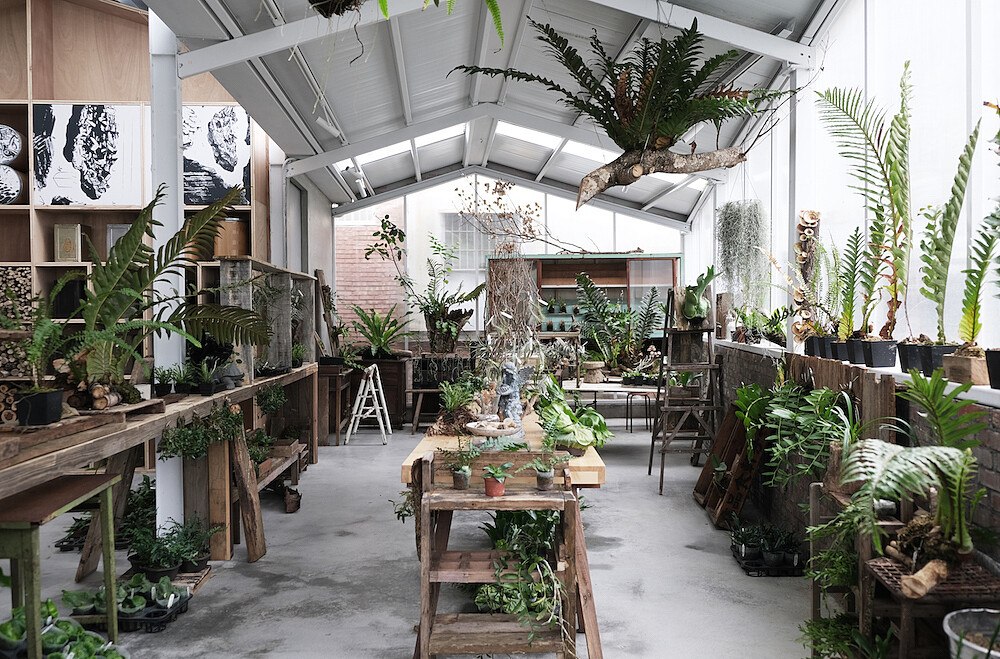 空氣圖書館的室內溫室區，以空氣鳳梨、蕨類、蘭花為主要培養植物