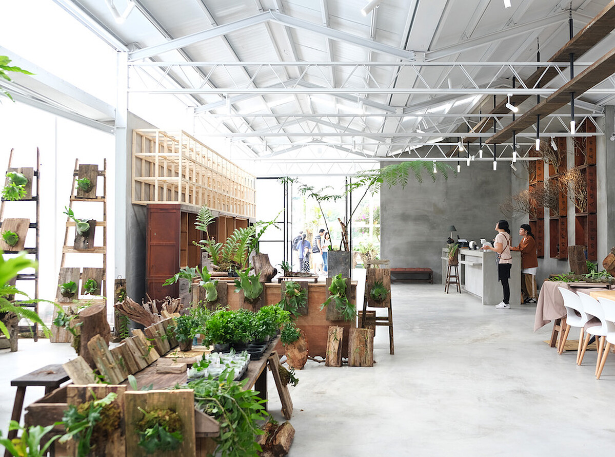 以豆腐版與茶樹作為櫃檯後方的裝飾設計，以古櫥櫃作為伴手禮的陳列傢俱