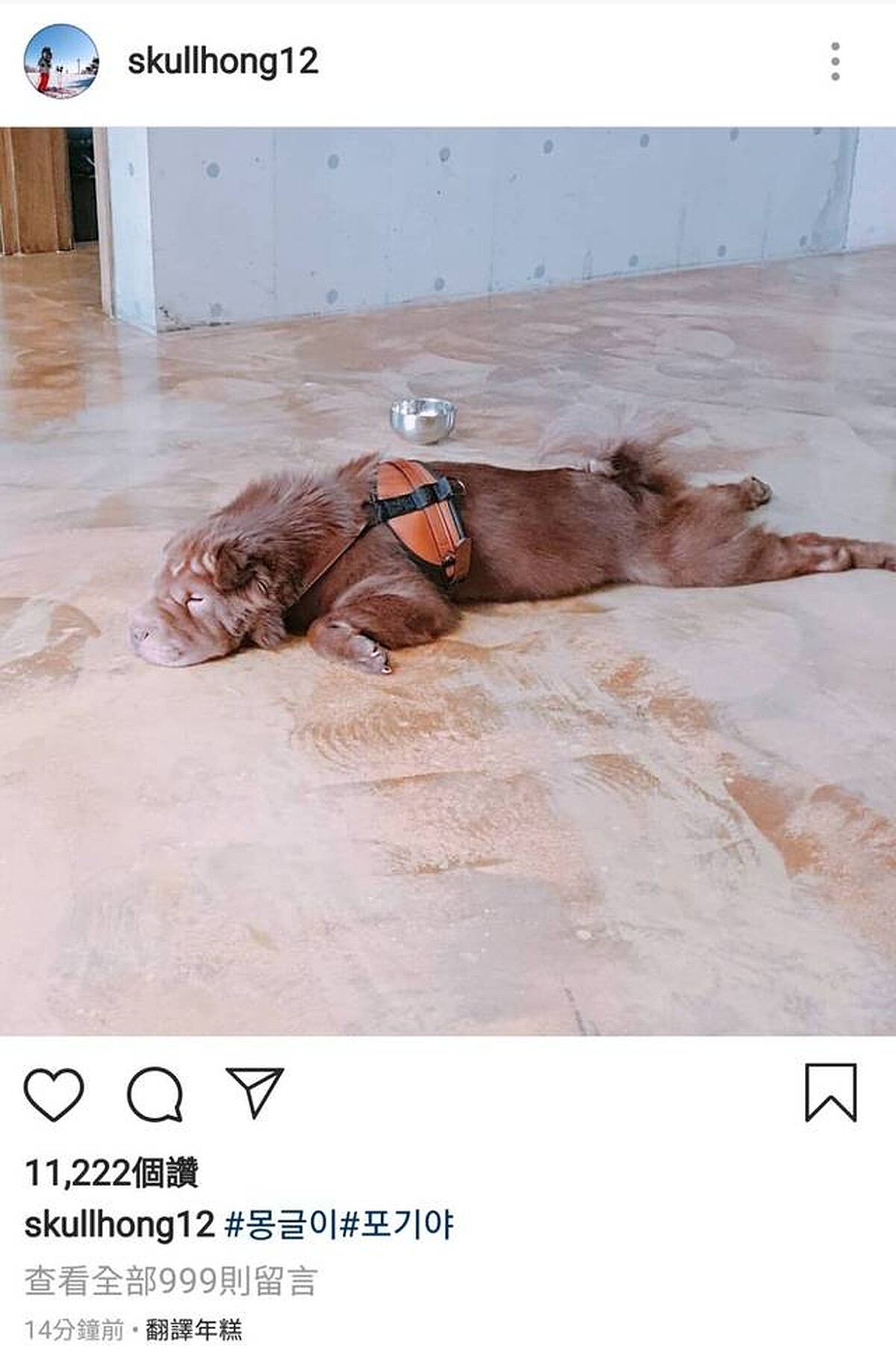 李洪基發文意有所指表示：#已放棄