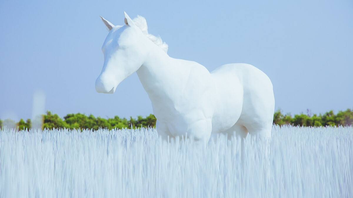 IG最火打卡熱點!「2019台南漁光島藝術節」現正登場,「海島新樂園」10大亮點指南一次看~