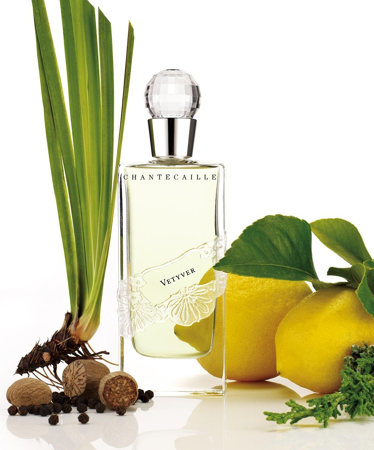 Chantecaille香緹卡淘氣香根 淡香精