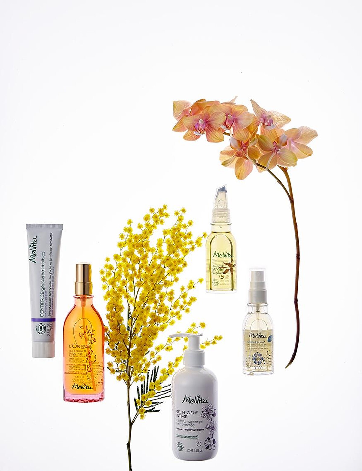 1. Melvita丁香保養牙膏，NT380。2. Melvita粉紅胡椒美體油，NT 1,880。3. Melvita 私密肌膚護理凝露，NT980。4. Melvita 百合花姸亮白雙效露，NT 1,580。5. Melvita 摩洛哥堅果油，NT1,380。