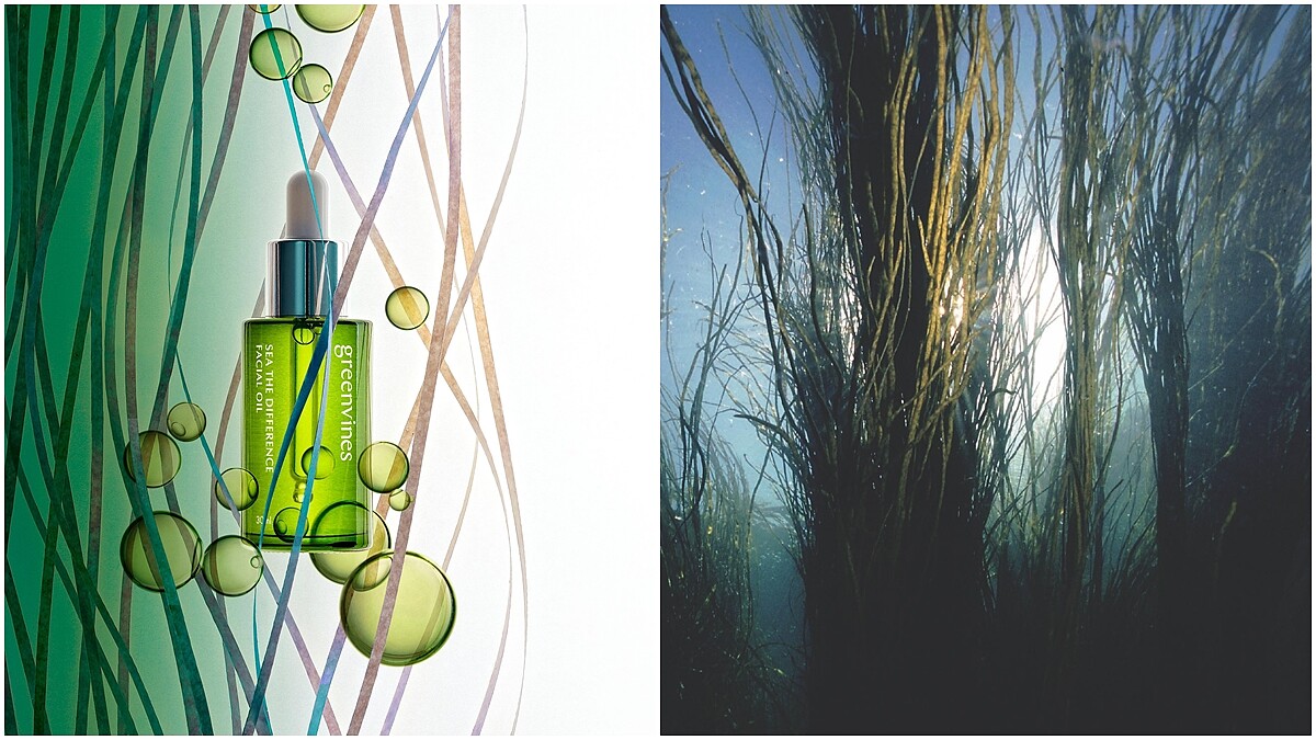 一罐保養油賣翻網路、限量新品秒殺售空！在地文青品牌綠藤生機再創「絕無添加」新品精華油，挑戰最高規格油保養