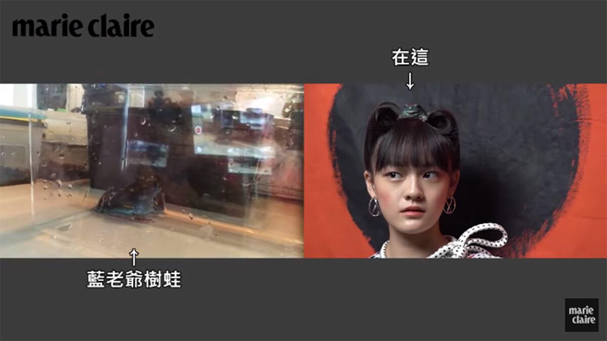 文淇去哪兒？超萌特派員帶你逛封面拍攝現場【cover story】