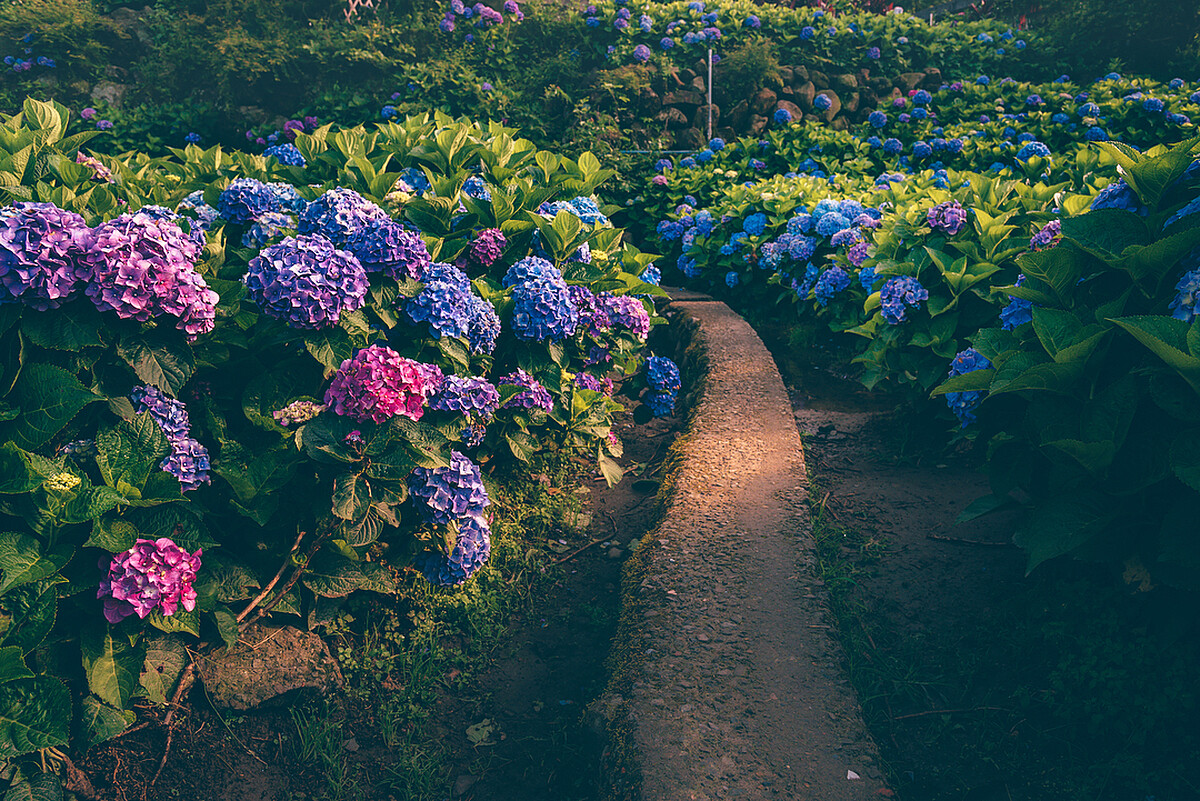 圖片來源@kuo_yencheng