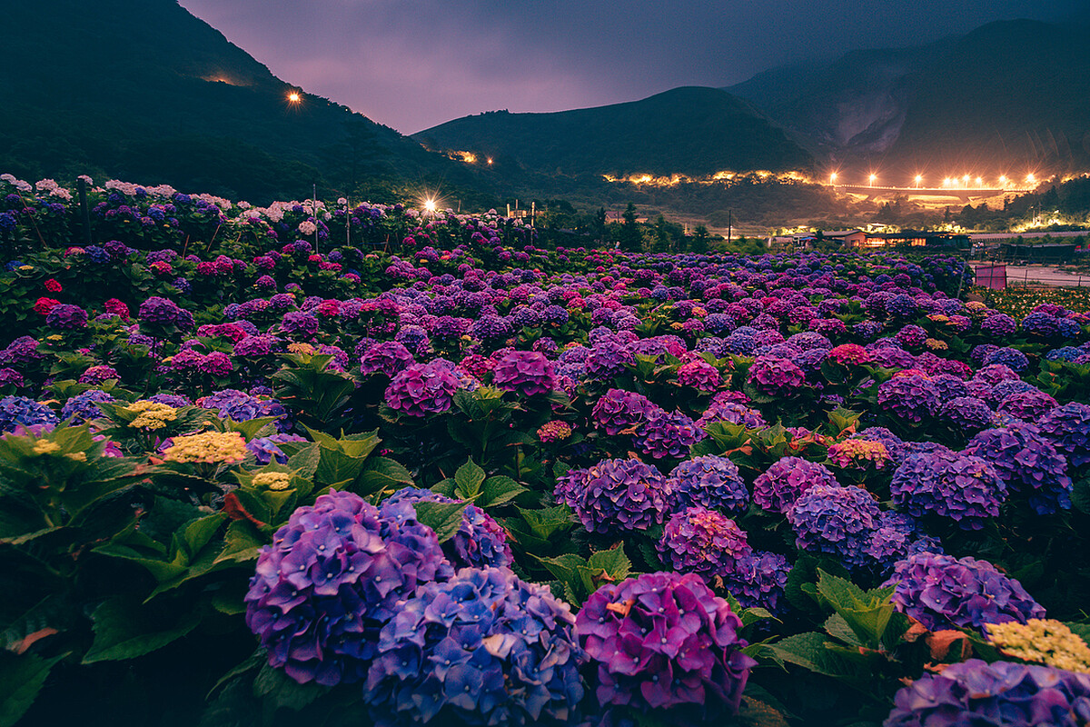 圖片來源@kuo_yencheng