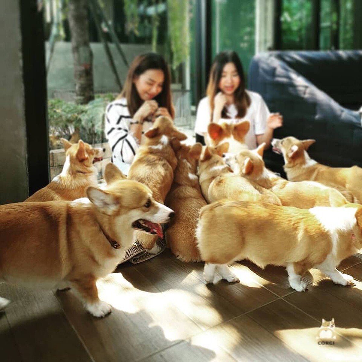 編也好想被包圍～～