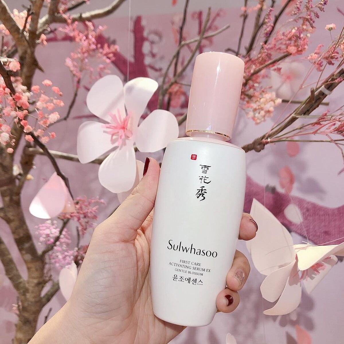 潤燥精華EX梅雪之綻