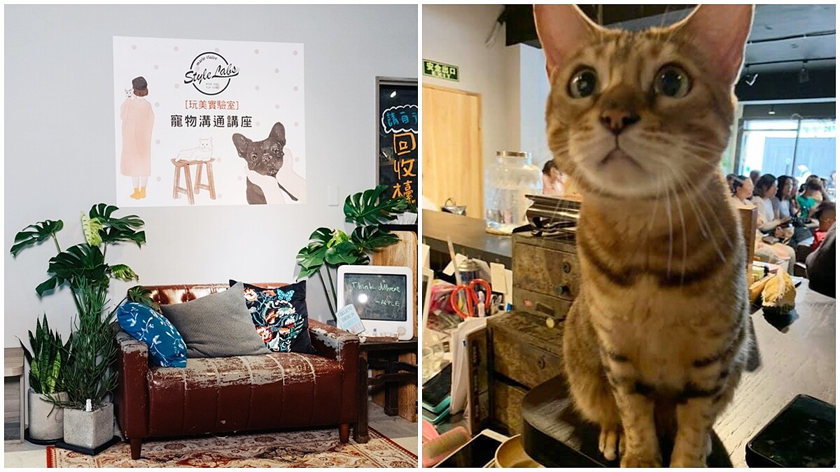 《Style Labs玩美實驗室》4月寵物溝通講座，毛孩們每一隻都是戲精！你讀懂牠們的內心了嗎？