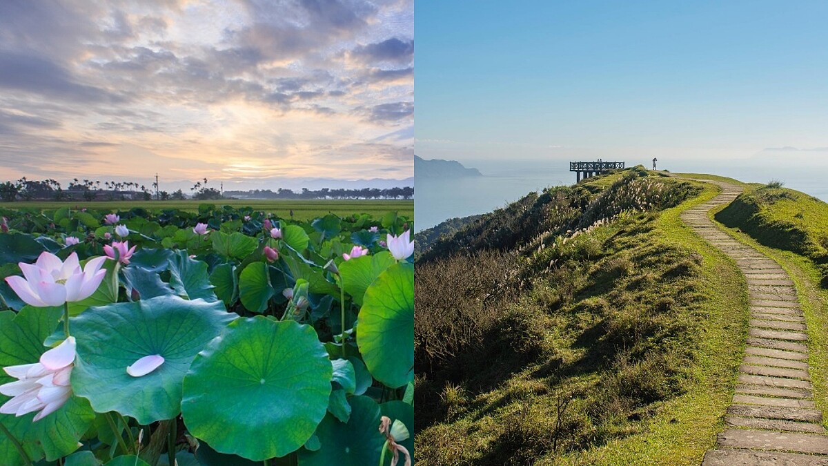 【玩咖懶人包】週末衝一波IG絕美秘境！台南有蓮花海、台中「水漾森林」美如仙境、草嶺古道來場健行好療癒
