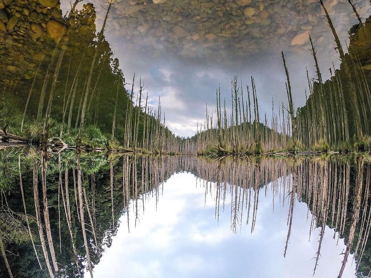 IG@herry_lhw授權提供