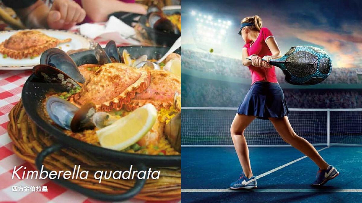 獵奇書迷必收！日本狂賣超可愛《真實尺寸的古生物圖鑑》中文版上市