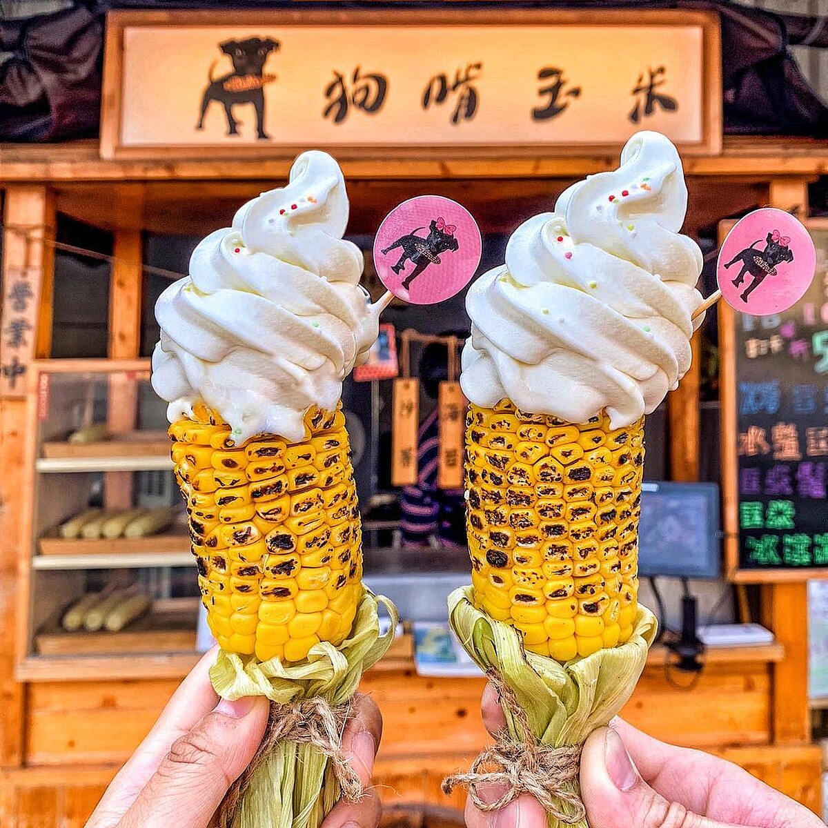 IG@bearyangfan提供