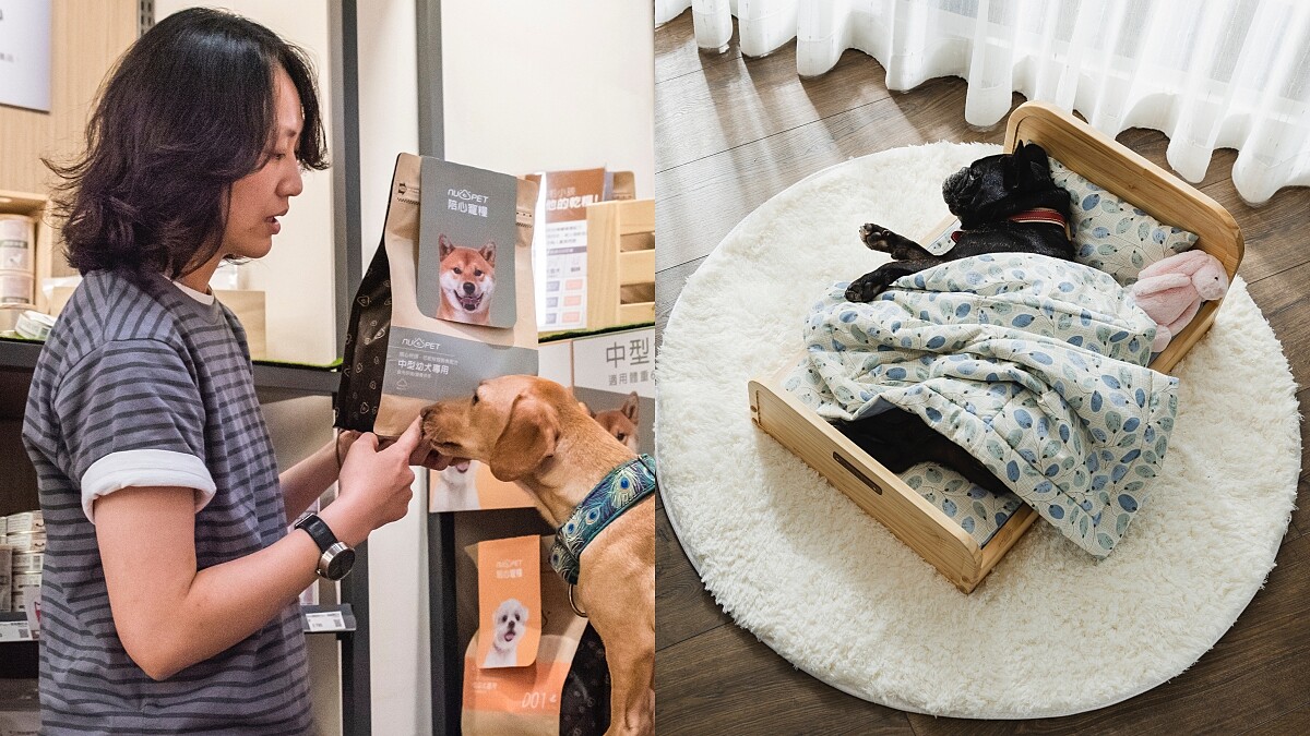 毛小孩父母快逛HOLA寵物專區!22萬網友大推的「毛起來」、網紅一致好評家具「拍拍」、客製化乾糧全都有
