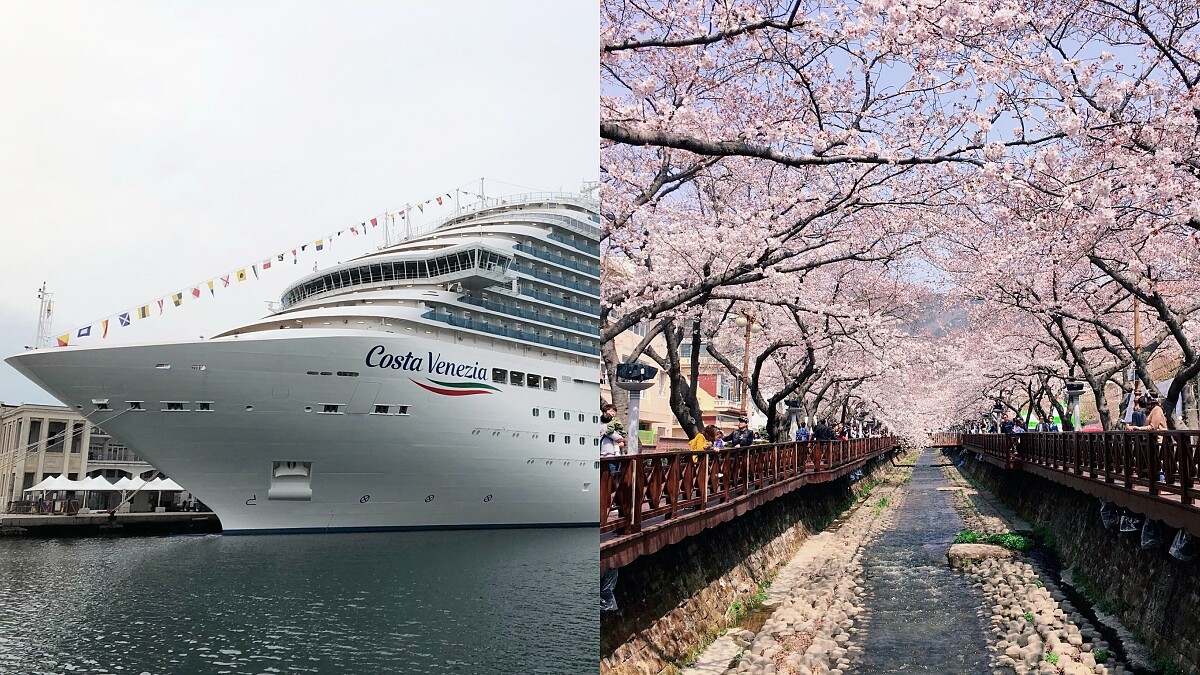 2020賞櫻新選擇!歌詩達威尼斯號5大特色整理,日韓獨家航線、櫻花樹下野餐,船上還有「晶華冠軍牛肉麵」