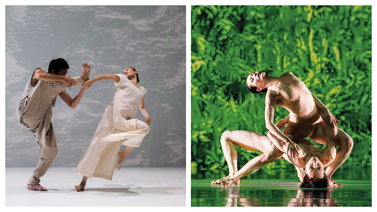 雲門舞集今晚兩廳院藝文廣場戶外演出 「公視+」網路直播讓你不錯過 林懷民最後一次率團戶外公演 向廣大觀眾鄭重致謝深情告別 