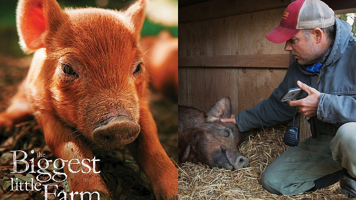 《我家有個開心農場》瘋狂夫妻的真實人生!打造當代版諾亞方舟:「計畫趕不上大自然的變化。」