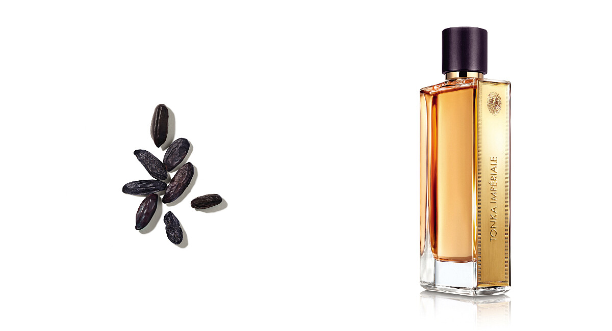 嬌蘭皇室零陵香淡香精，75ml，NT9,200。