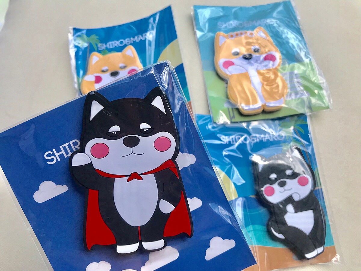 圖示為磁鐵,但貼紙與磁鐵圖案相同!