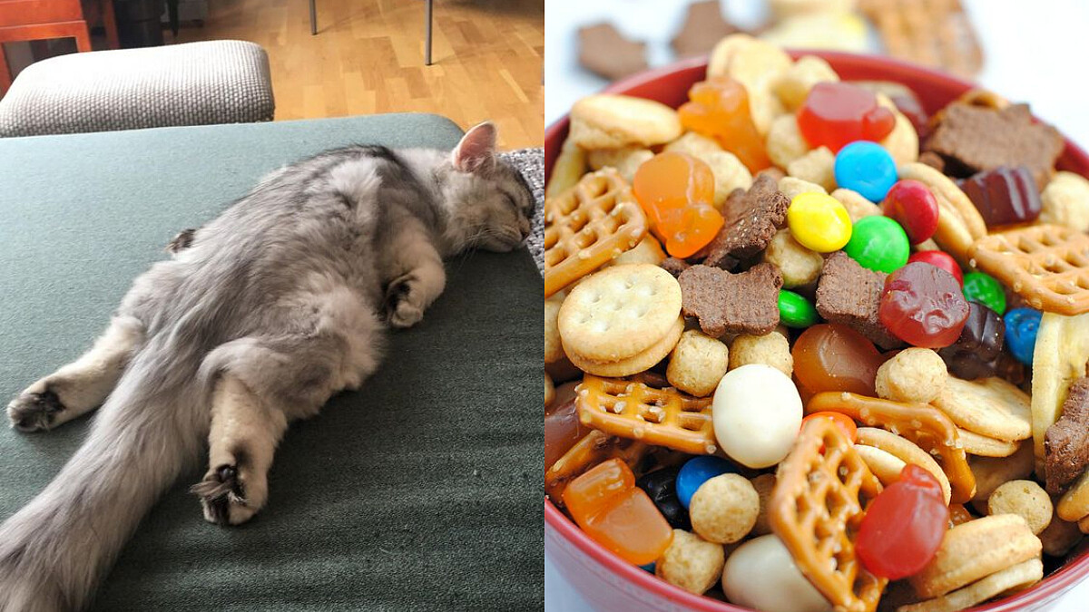 切記切記！健康減肥的時候不許做這5件事！