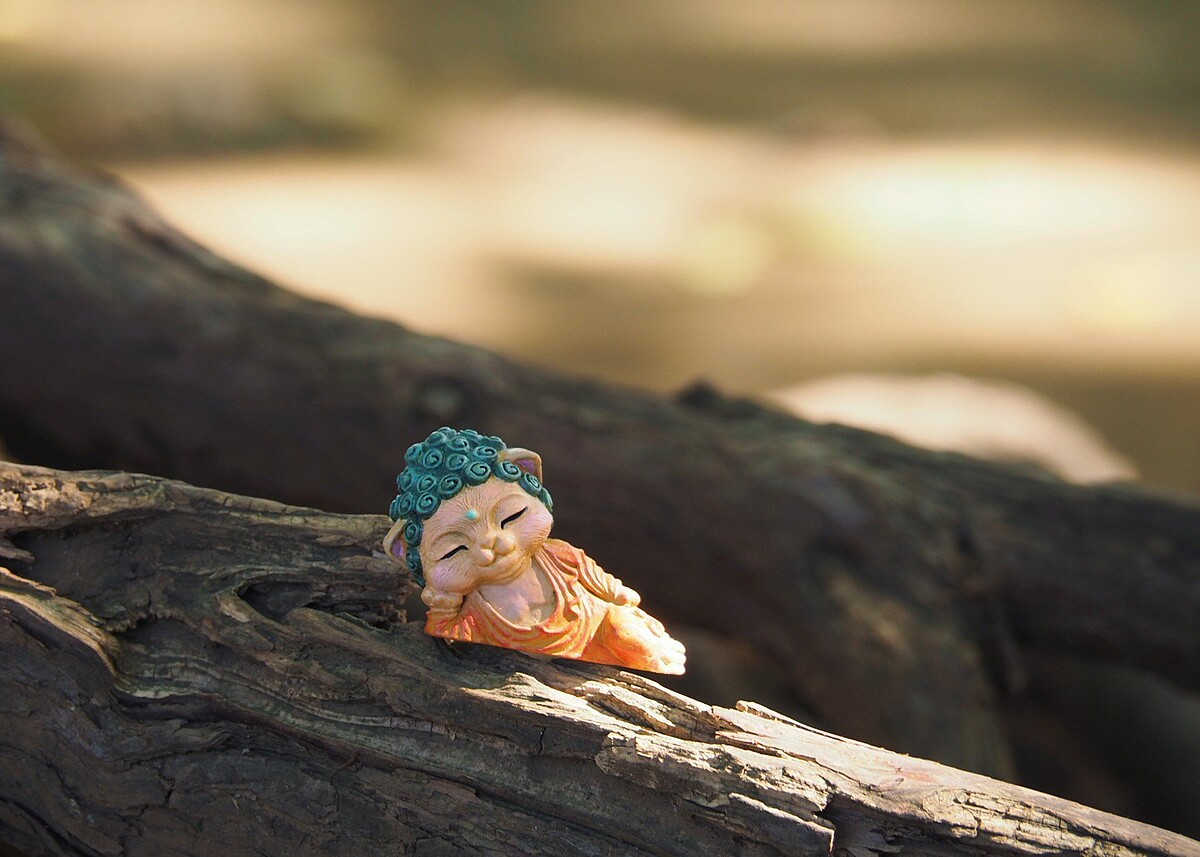 twitter＠@sanjyousisi