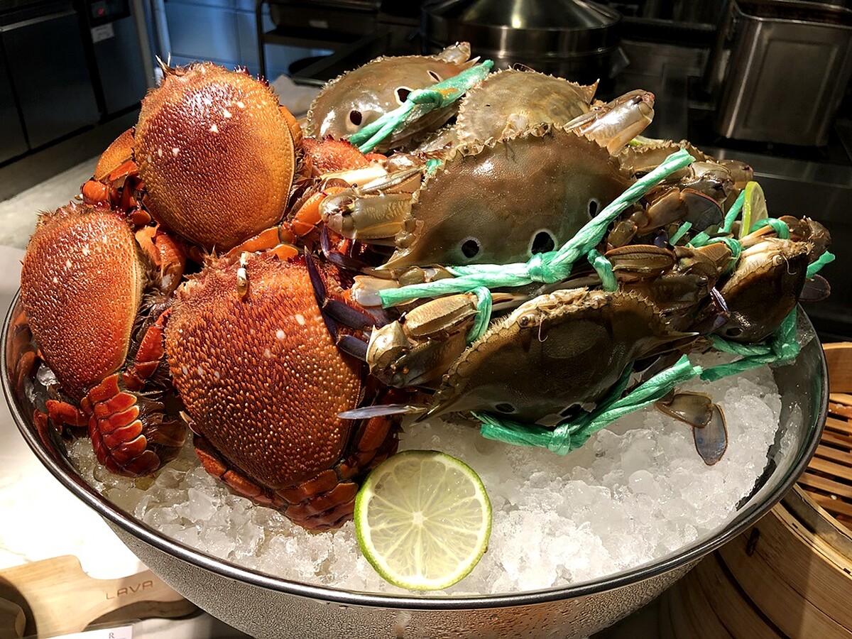 秋天就是要大嗑螃蟹！士林萬麗酒店推30款肥美秋蟹料理，新加坡香辣蟹、蟹堡、軟殼蟹太誘人