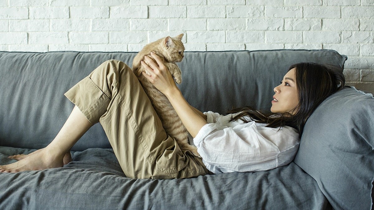 蔡健雅北中高三場小巡迴打頭陣秒殺完售,自家拍攝宣傳影片攜愛貓親密入鏡