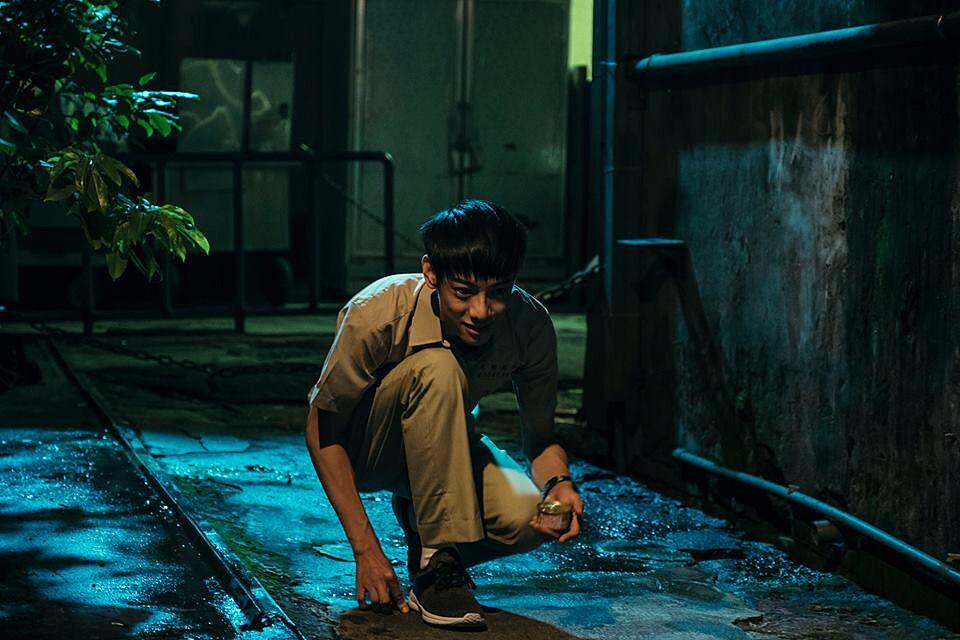 《你的孩子不是你的孩子-貓的孩子》