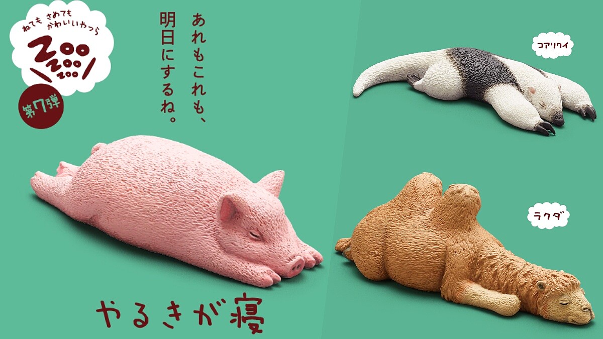 睡好睡滿！《ZooZooZoo》休眠動物園系列第七彈推出，快跟小豬、貓咪、食蟻獸一起大睡特睡