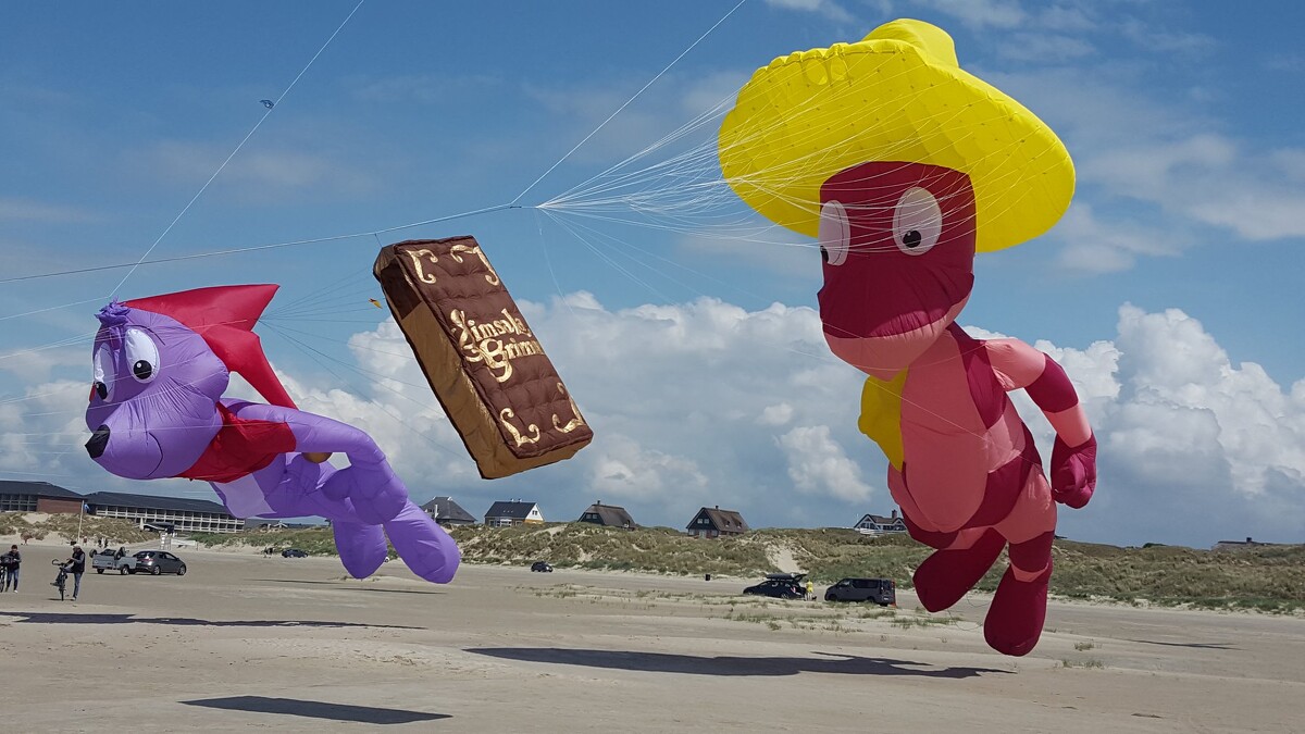 「藍灰狼與書呆子蜥蜴」