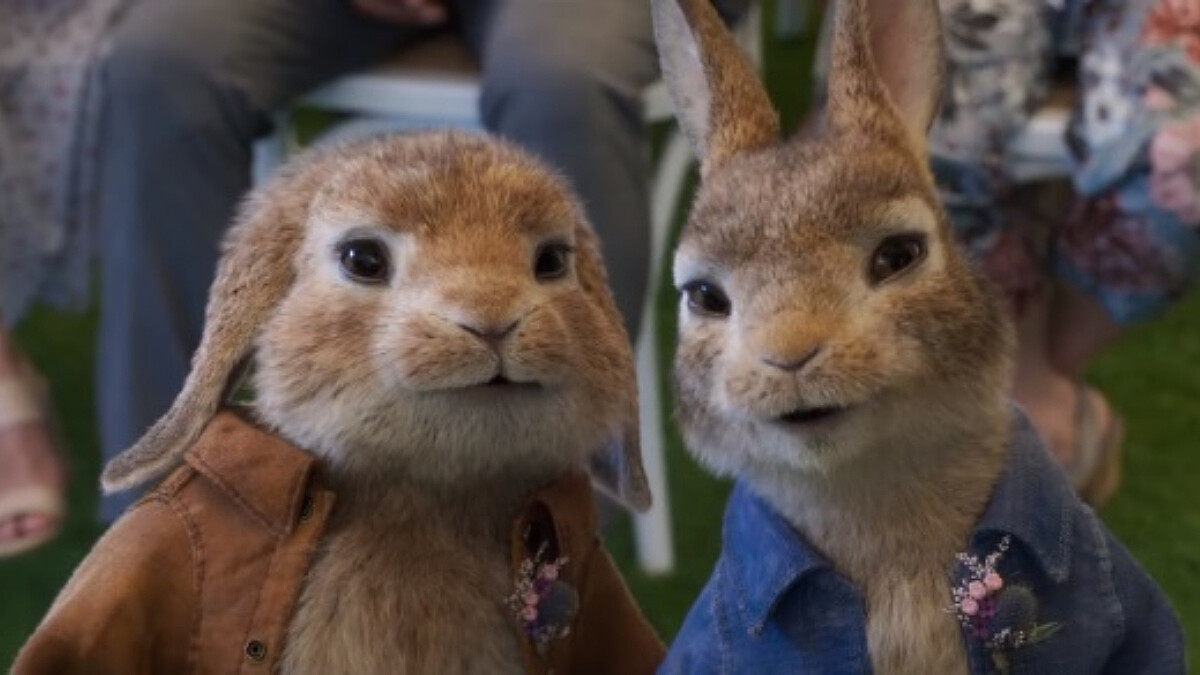 《比得兔兔》最調皮的萌兔回來了!續集決定離家出走:「如果大家都嫌我麻煩,我乾脆自己過就好。」