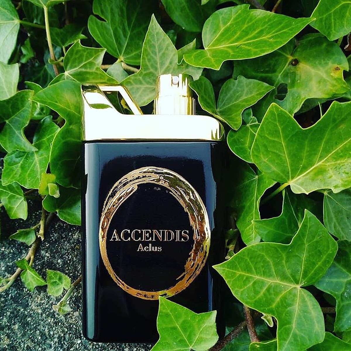 Aclus 夏夜精靈 中性淡香精